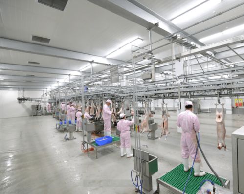 強特色 興產(chǎn)業(yè) 錫市農副食品業(yè)與鄭州軟件開發(fā)雙輪驅動工業(yè)高質量發(fā)展